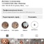 Luxpom2000