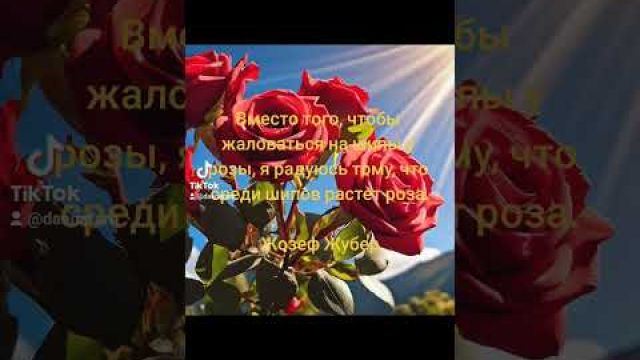 Шипы и роза