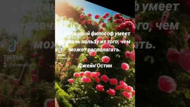 Истинный философ и польза