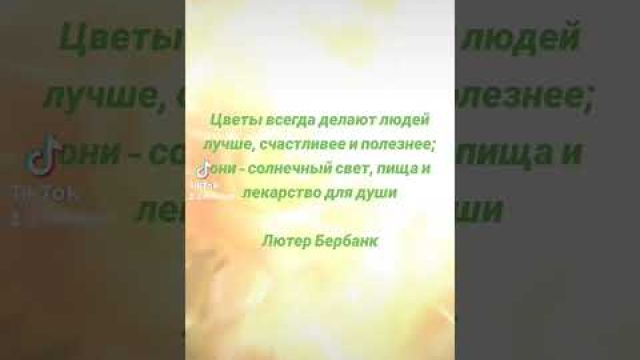 Лекарство для души