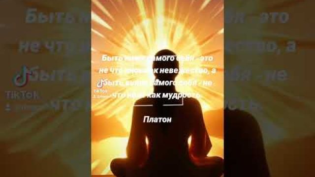 Мудрость и невежество