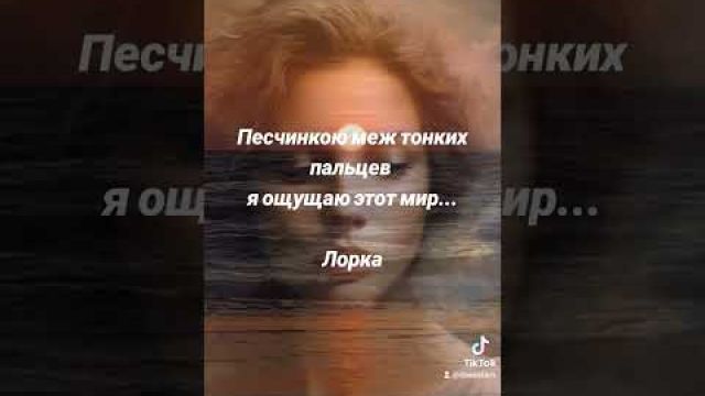 Утонченность и ощущение мира